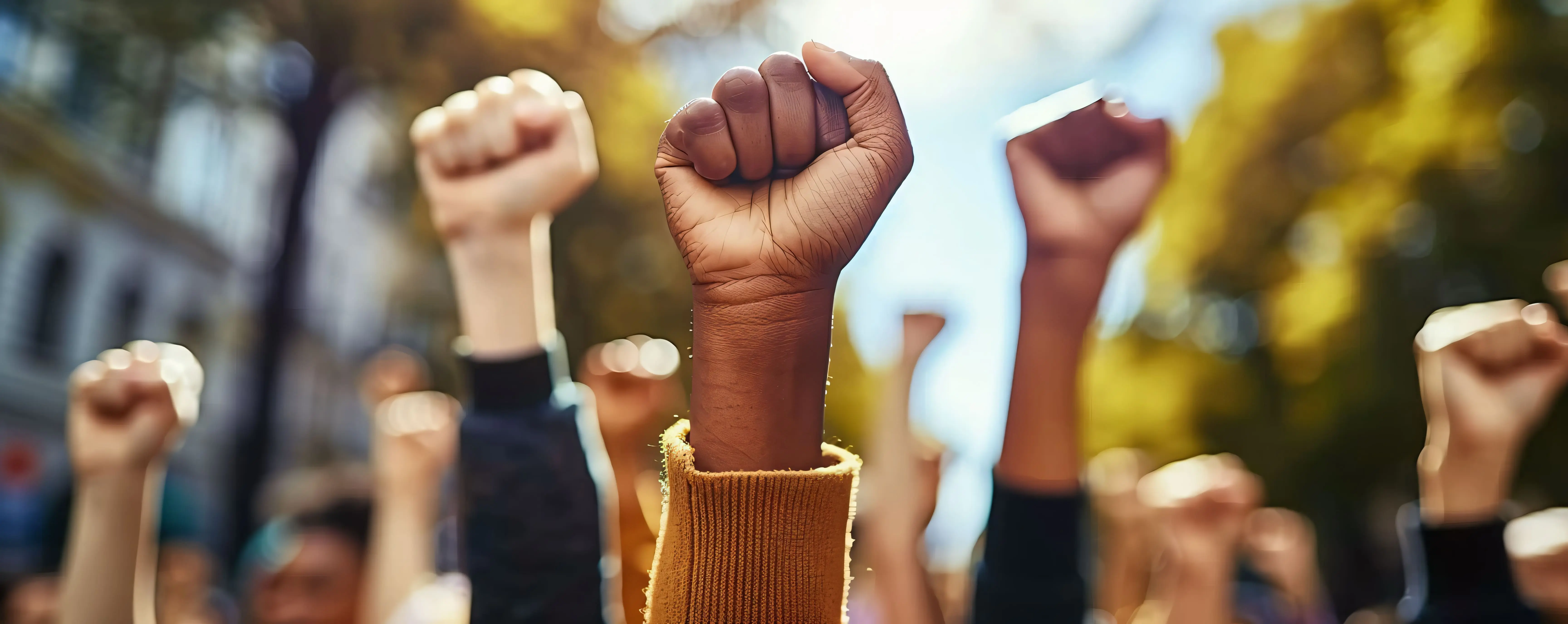 Rendimiento 贸ptimo